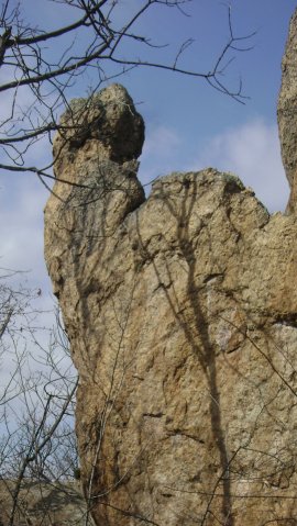 DSC07716-1