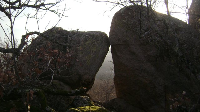 DSC07785-1