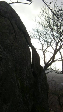 DSC07788-1