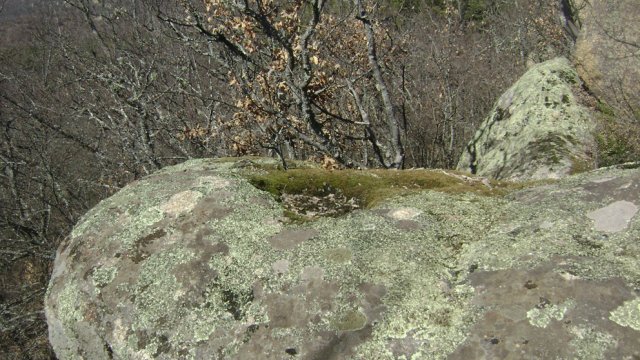 DSC07814-1