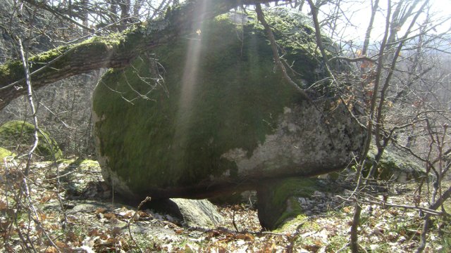 DSC07845-1