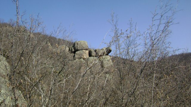 DSC08115-1