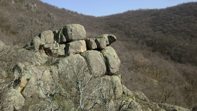 DSC08125-1