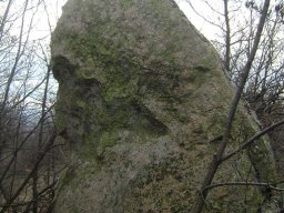 Алпът Мъдрец1