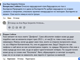 Ана Рея-Венцислав Стайков
