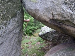 DSC01577-1