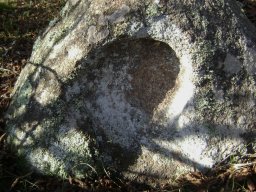 DSC02695-1