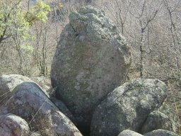 DSC02725-1