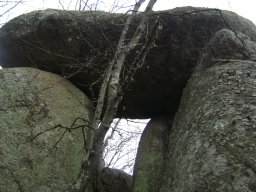 DSC03118-1