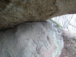DSC03399-1