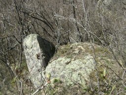 DSC05282-1