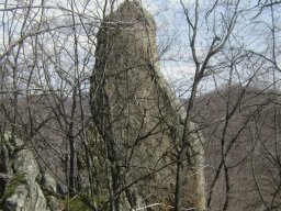 DSC05307-1