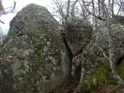 DSC05337-1