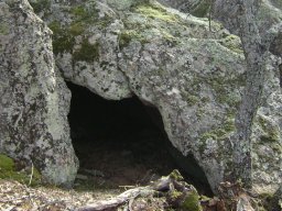 DSC07684-1