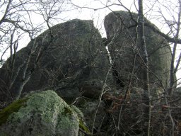 DSC07705-1