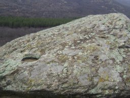 DSC07739-1