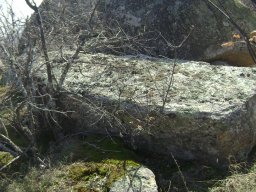 DSC07887-1