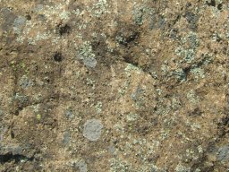 DSC08135-1