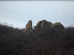 DSC_2178-1