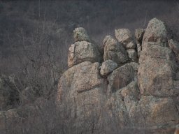DSC_2191-1