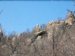 DSC_3468-1