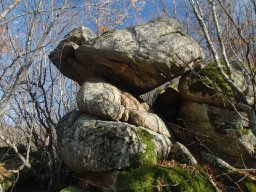 DSC_3662-1