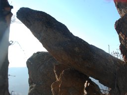 DSC_9504-1