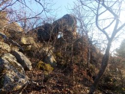 IMG_20220206_164232-1