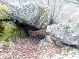IMG_20220220_153437-1