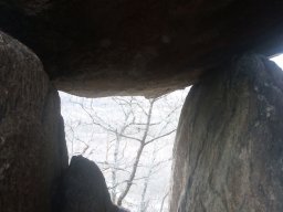 IMG_20220220_155556-1