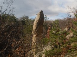 DSC_4231-1