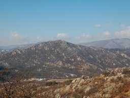 DSC_7954-1