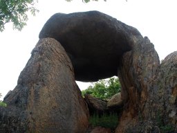 DSC_1635-1
