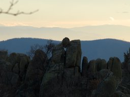 DSC_1448-1