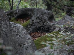 DSC_5523-1