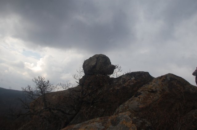 DSC_6820-1