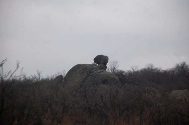 DSC_6844-1