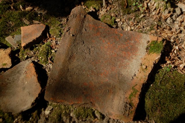 DSC_7187-1
