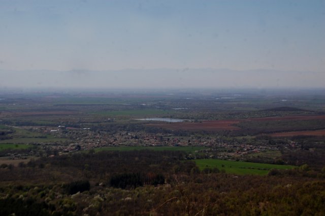 DSC_7231-1