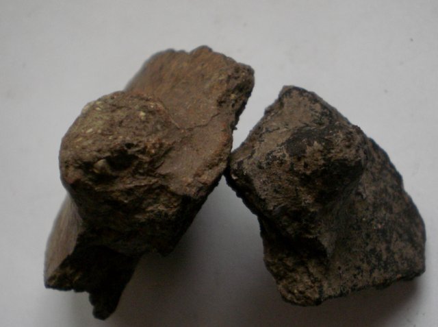 P3120101-1