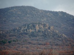 DSC_6582-1