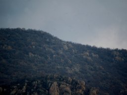 DSC_6591-1