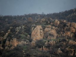 DSC_6618-1