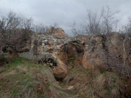 DSC_6716-1