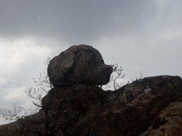 DSC_6822-1