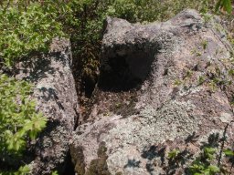 DSC_7199-1