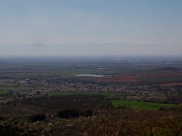 DSC_7231-1~0