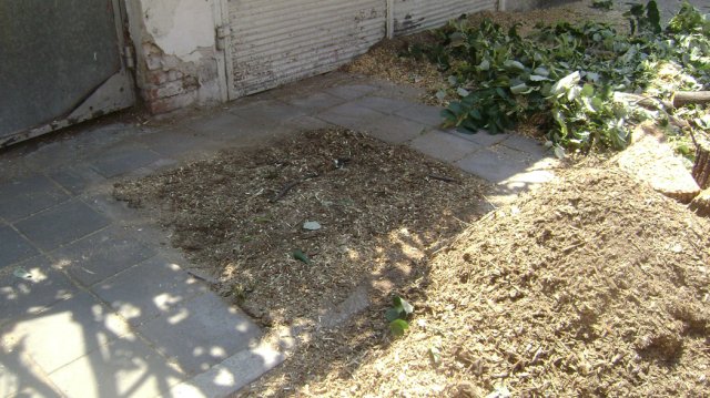DSC05807-1