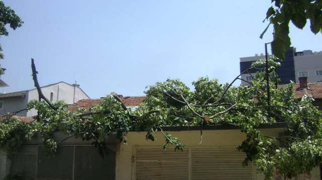 DSC05812-1