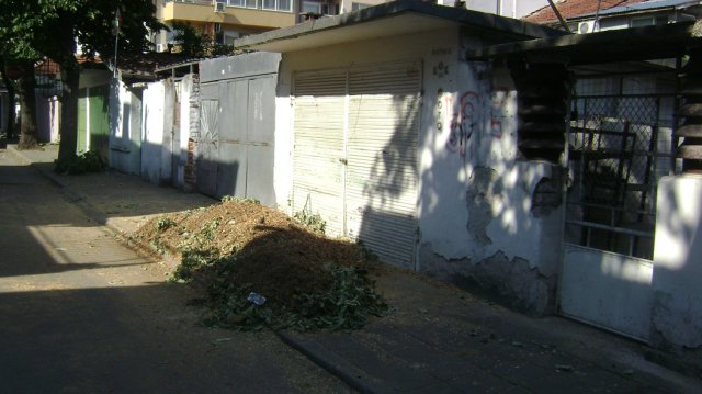 DSC05816-1